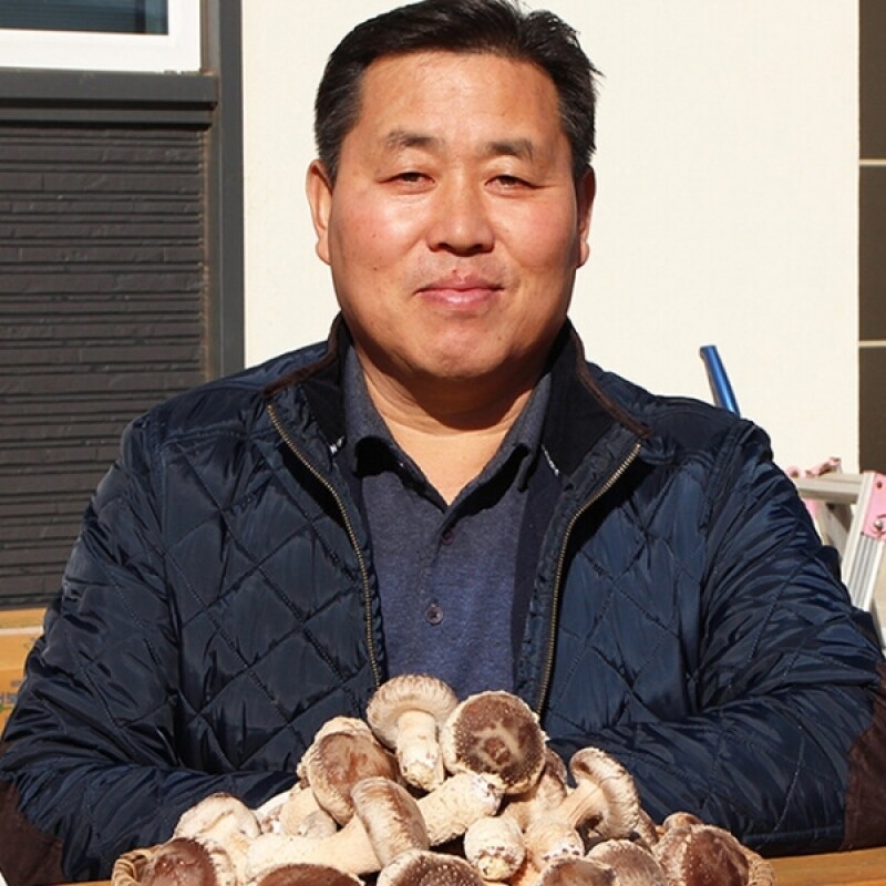 대관령송암버섯,솔송고버섯 1kg