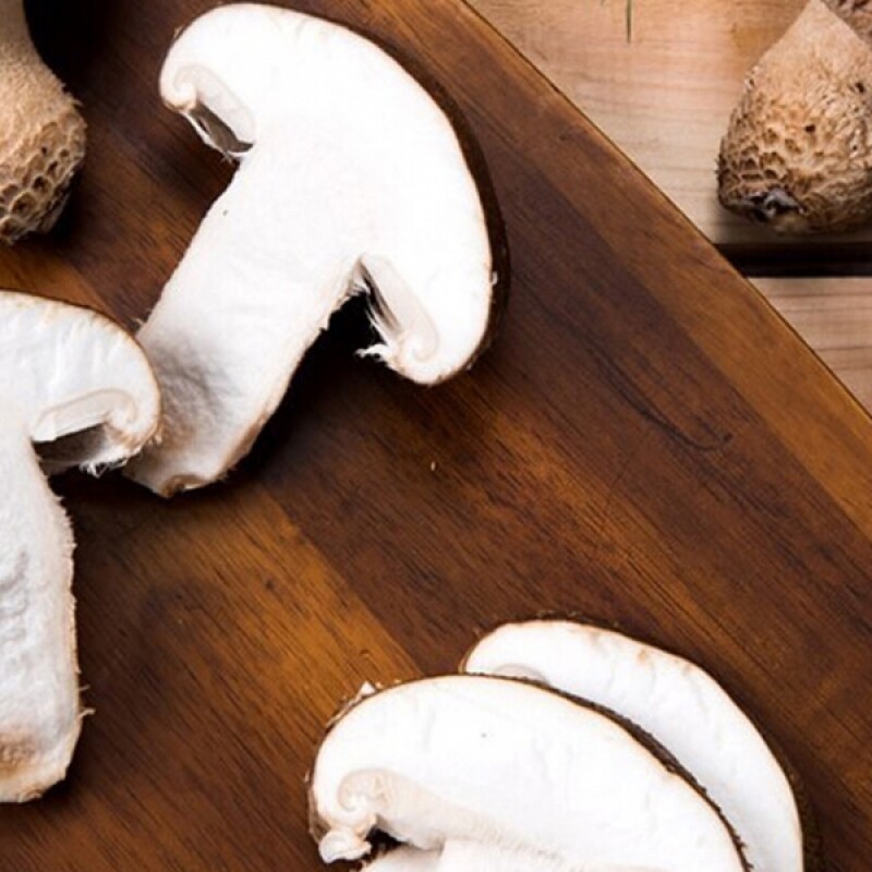 강릉표고버섯농장,솔송고버섯(대) 1kg